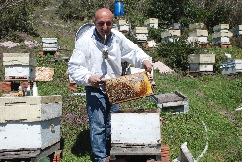 UYGULAMALI ARI YETİŞTİRME EĞİTİM İSTASYONU KURULACAK..
