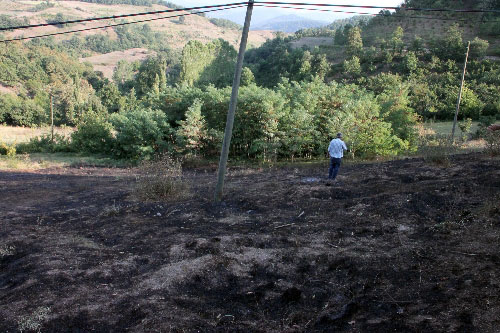 ELEKTİRİK TELLERİ AĞACI TUTUŞTURDU..