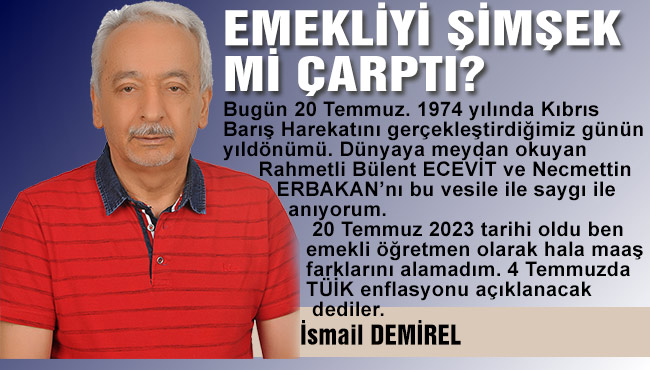 EMEKLİYİ ŞİMŞEK Mİ ÇARPTI?