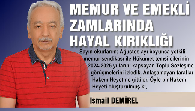 MEMUR VE EMEKLİ ZAMLARINDA HAYAL KIRIKLIĞI